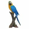 Coupon ๐ Animal Statues Hi-Line Gift Ltd. Blue And Yellow Parrot On Branch Garden Statue ๐ 1 Coupon ๐ Animal Statues Hi-Line Gift Ltd. Blue And Yellow Parrot On Branch Garden Statue ๐ -Garden Statues Shop masterHILI987