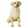 Best Sale 🔔 Animal Statues Sandicast Mid Size Yellow Labrador Retriever Sculpture - Sitting Up 💯 1 Best Sale 🔔 Animal Statues Sandicast Mid Size Yellow Labrador Retriever Sculpture - Sitting Up 💯 -Garden Statues Shop masterSAND065