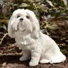 Deals ๐ฅ Animal Statues Sandicast Original Size Maltese Sculpture ๐ฅฐ 1 Deals ๐ฅ Animal Statues Sandicast Original Size Maltese Sculpture ๐ฅฐ -Garden Statues Shop masterSAND158