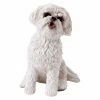 New 🌟 Animal Statues Sandicast Small Size Bichon Frise Sculpture ✔️ -Garden Statues Shop masterSAND179