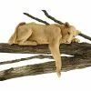 Wholesale 🌟 Animal Statues Design Toscano Lioness Of Namibia Garden Statue ⌛ -Garden Statues Shop masterTOSC015