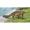 Best reviews of 🔥 Animal Statues Design Toscano The Grand-Scale Wildlife Animal Walking Crocodile Garden Statue 👏 1 Best reviews of 🔥 Animal Statues Design Toscano The Grand-Scale Wildlife Animal Walking Crocodile Garden Statue 👏 -Garden Statues Shop masterTOSC046