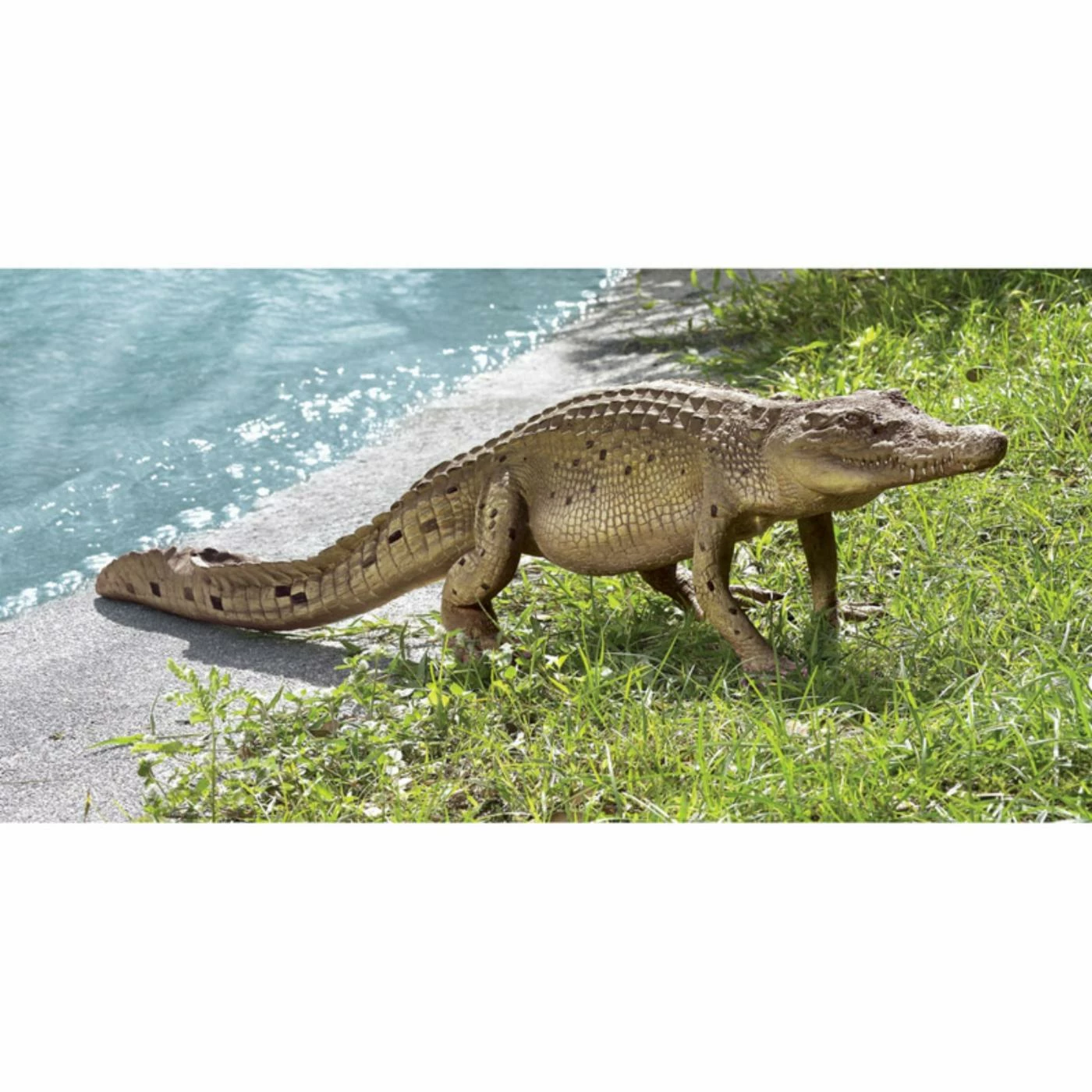 Best reviews of ๐ฅ Animal Statues Design Toscano The Grand-Scale Wildlife Animal Walking Crocodile Garden Statue ๐ 3 Best reviews of ๐ฅ Animal Statues Design Toscano The Grand-Scale Wildlife Animal Walking Crocodile Garden Statue ๐
