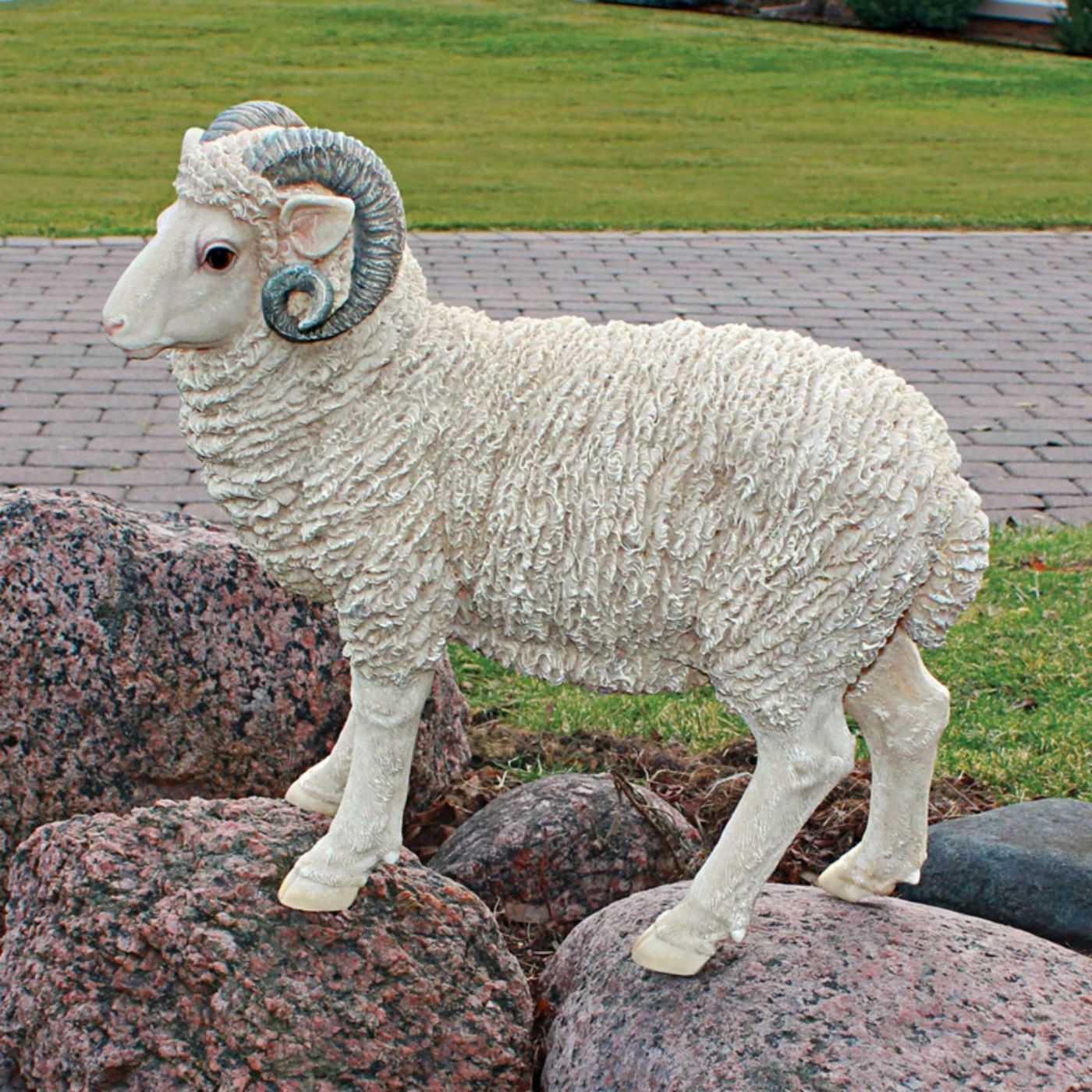 Outlet ๐ Animal Statues Design Toscano Horned Dorset Sheep Statue โ๏ธ 3 Outlet ๐ Animal Statues Design Toscano Horned Dorset Sheep Statue โ๏ธ