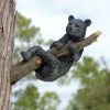 Hot Sale ๐ Animal Statues Design Toscano Up A Tree Hanging Black Bear Cub Sculpture ๐ 1 Hot Sale ๐ Animal Statues Design Toscano Up A Tree Hanging Black Bear Cub Sculpture ๐ -Garden Statues Shop masterTOSC1050