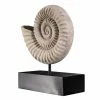 Flash Sale 🧨 Animal Statues Design Toscano Ammonite Fossil Sculpture On Museum Mount 💯 -Garden Statues Shop masterTOSC1075