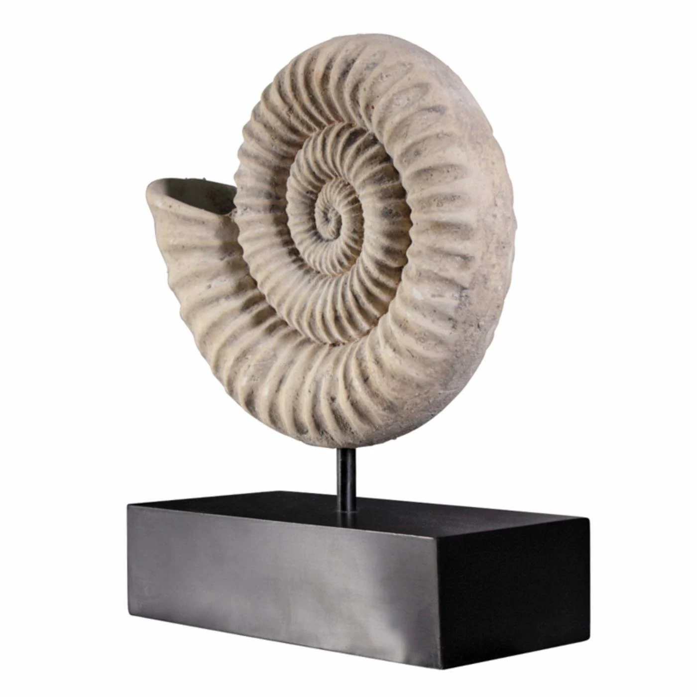 Flash Sale ๐งจ Animal Statues Design Toscano Ammonite Fossil Sculpture On Museum Mount ๐ฏ 3 Flash Sale ๐งจ Animal Statues Design Toscano Ammonite Fossil Sculpture On Museum Mount ๐ฏ