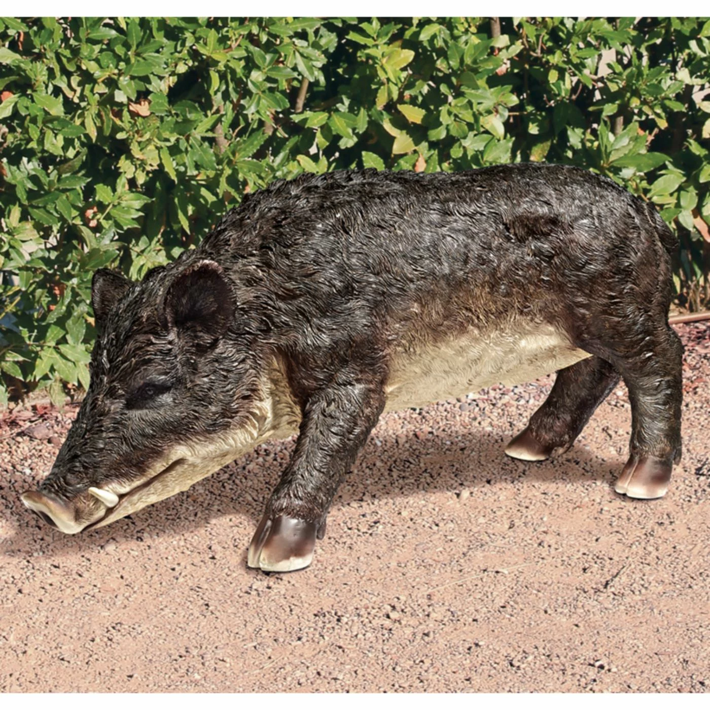 Deals ๐งจ Animal Statues Design Toscano Razorback Wild Boar Statue โค๏ธ 3 Deals ๐งจ Animal Statues Design Toscano Razorback Wild Boar Statue โค๏ธ