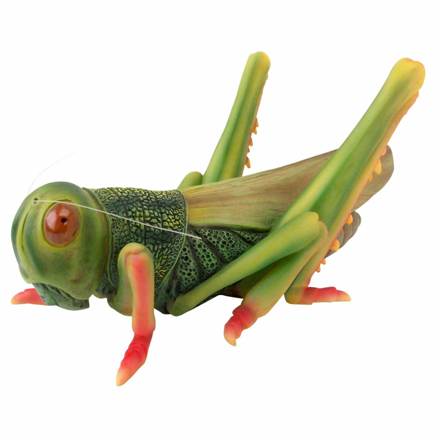 Brand new ๐ Other Garden Statues Design Toscano Ricochet The Grasshopper Garden Statue ๐ 3 Brand new ๐ Other Garden Statues Design Toscano Ricochet The Grasshopper Garden Statue ๐