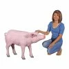 Brand new 🎉 Animal Statues Design Toscano Porkchop The Pig Life-Size Hog Statue 🔔 -Garden Statues Shop masterTOSC2326