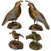 Best Pirce ⌛ Animal Statues Design Toscano California Quail Solid Garden Statue - Set Of 4 ⌛ -Garden Statues Shop masterTOSC2374