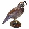 Promo 👍 Animal Statues Design Toscano Multidimensional Male California Quail Garden Statue 🛒 1 Promo 👍 Animal Statues Design Toscano Multidimensional Male California Quail Garden Statue 🛒 -Garden Statues Shop masterTOSC2379