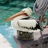 Wholesale π Animal Statues Design Toscano Dock Of The Bay Pelican Statue - Set Of 2 π 2 Wholesale π Animal Statues Design Toscano Dock Of The Bay Pelican Statue - Set Of 2 π -Garden Statues Shop masterTOSC2672