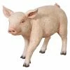 Outlet โจ Animal Statues Design Toscano Piglet Porker Sculpture ๐ฅฐ 1 Outlet โจ Animal Statues Design Toscano Piglet Porker Sculpture ๐ฅฐ -Garden Statues Shop masterTOSC2698
