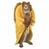Coupon ๐ Animal Statues Design Toscano Sensei Monk Zen Garden Squirrel Animal Statue โญ 1 Coupon ๐ Animal Statues Design Toscano Sensei Monk Zen Garden Squirrel Animal Statue โญ -Garden Statues Shop masterTOSC4235