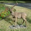 Cheapest 🔔 Animal Statues Design Toscano Grand-Scale Black Forest Garden Deer Sculpture 🔥 -Garden Statues Shop masterTOSC672