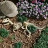 Coupon ๐ Animal Statues Design Toscano Raptor Skeleton Garden Sculpture ๐งจ 2 Coupon ๐ Animal Statues Design Toscano Raptor Skeleton Garden Sculpture ๐งจ -Garden Statues Shop masterTOSC749