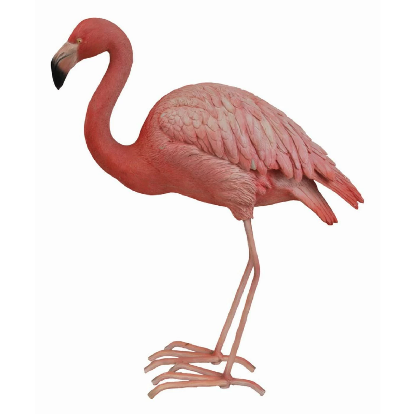 Flash Sale ๐ Animal Statues Hi-Line Gift Ltd. Flamingo Bird Garden Statue ๐ 7 Flash Sale ๐ Animal Statues Hi-Line Gift Ltd. Flamingo Bird Garden Statue ๐ - Image 5