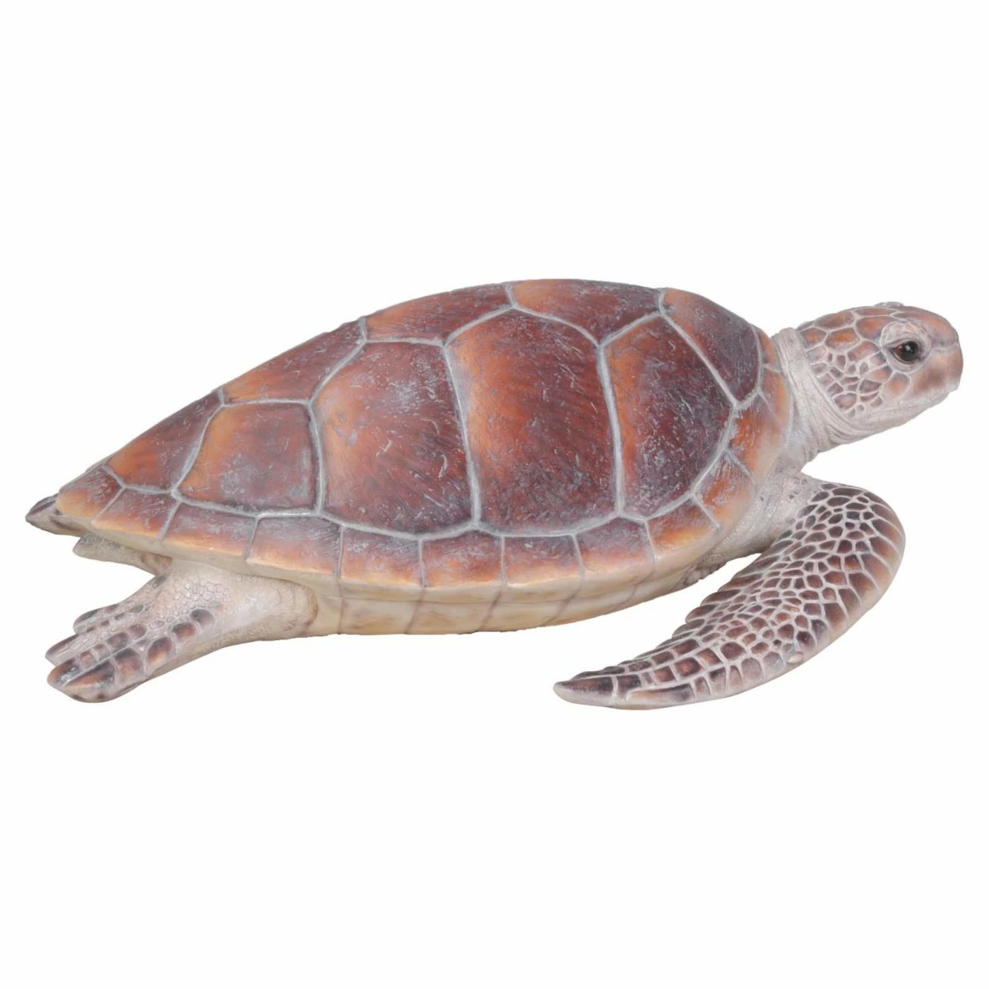 Best Sale ⭐ Animal Statues Hi-Line Gift Ltd. Large Sea Turtle Figurine ❤️ 7 Best Sale ⭐ Animal Statues Hi-Line Gift Ltd. Large Sea Turtle Figurine ❤️ - Image 5