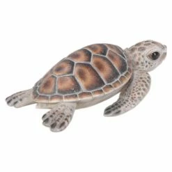 Cheap ✔️ Animal Statues Hi-Line Gift Ltd. Baby Sea Turtle Figurine ⌛ 13 Cheap ✔️ Animal Statues Hi-Line Gift Ltd. Baby Sea Turtle Figurine ⌛ -Garden Statues Shop scaleHILI1062