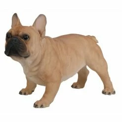 Coupon ✔️ Animal Statues Hi-Line Gift Ltd. French Bulldog Garden Statue ✨ 11 Coupon ✔️ Animal Statues Hi-Line Gift Ltd. French Bulldog Garden Statue ✨ -Garden Statues Shop scaleHILI134