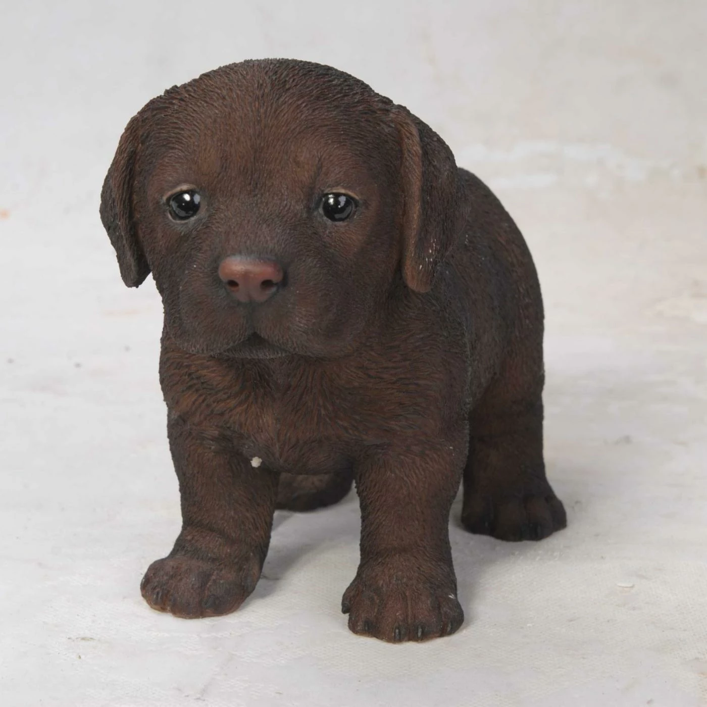 Discount 🛒 Animal Statues Hi-Line Gift Ltd. Chocolate Standing Labrador Puppy Statue 👍 7 Discount 🛒 Animal Statues Hi-Line Gift Ltd. Chocolate Standing Labrador Puppy Statue 👍 - Image 5