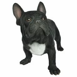 Best reviews of 🌟 Animal Statues Hi-Line Gift Ltd. French Bulldog Statue ⭐ -Garden Statues Shop scaleHILI793