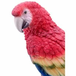 Discount ✨ Animal Statues Hi-Line Gift Ltd. Parrot On Beach Statue 🔥 13 Discount ✨ Animal Statues Hi-Line Gift Ltd. Parrot On Beach Statue 🔥 -Garden Statues Shop scaleHILI801
