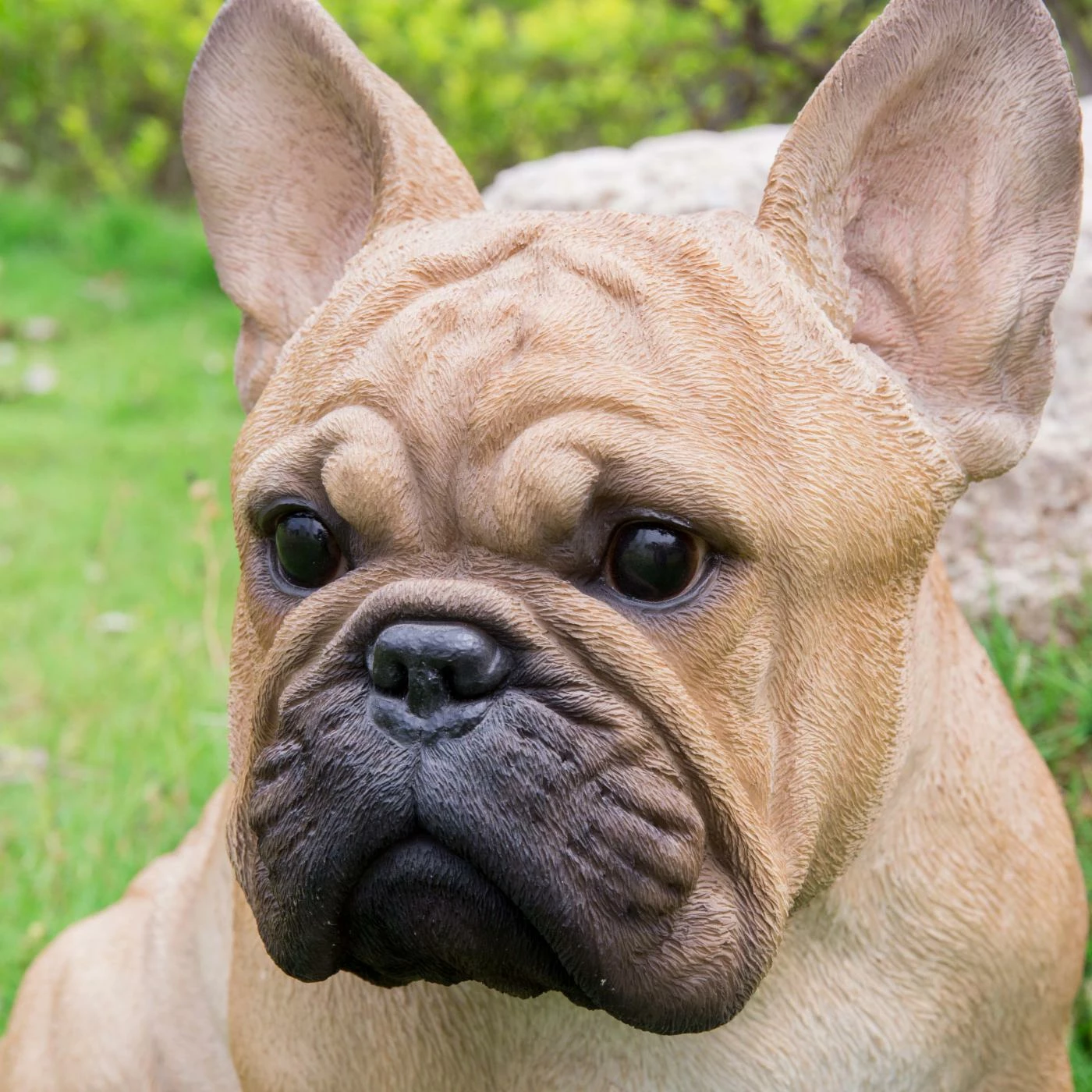 Deals 🔔 Animal Statues Hi-Line Gift Ltd. French Bulldog Squatting Garden Statue 😉 7 Deals 🔔 Animal Statues Hi-Line Gift Ltd. French Bulldog Squatting Garden Statue 😉 - Image 5