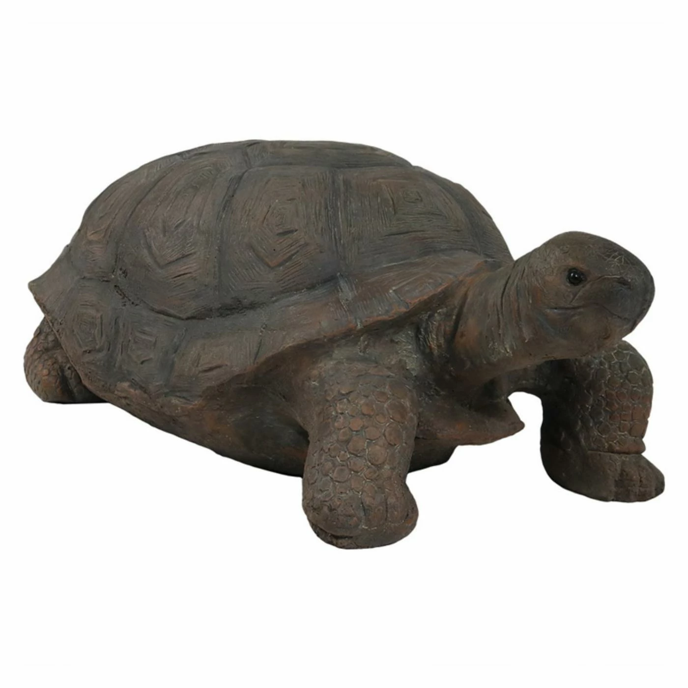 Best Sale β Animal Statues Sunnydaze Decor Todd The Tortoise Indoor/Outdoor Statue π 7 Best Sale β Animal Statues Sunnydaze Decor Todd The Tortoise Indoor/Outdoor Statue π - Image 5